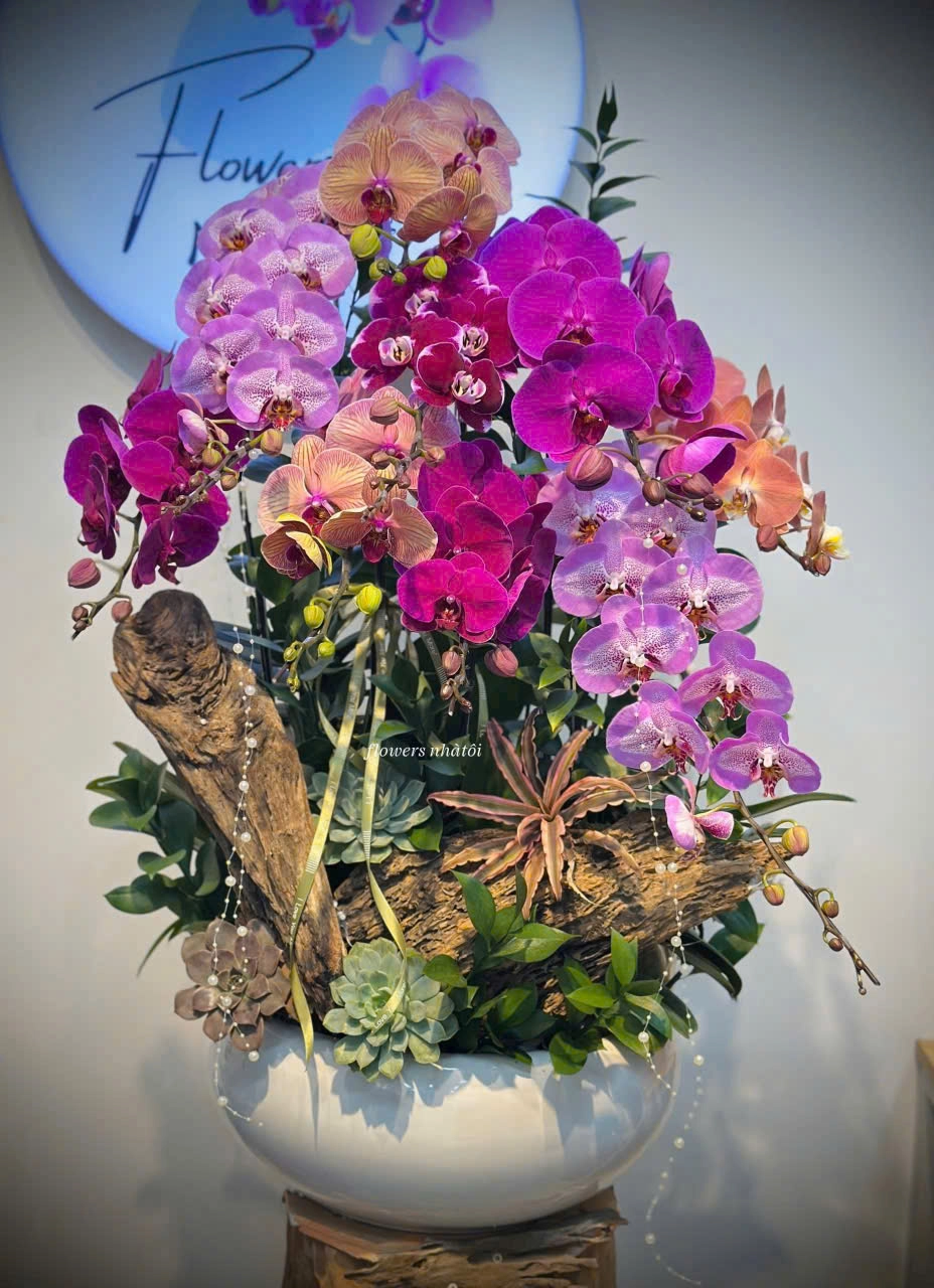 CHẬU LAN CỬU CÀNH PHÁT LỘC (9 CÀNH)