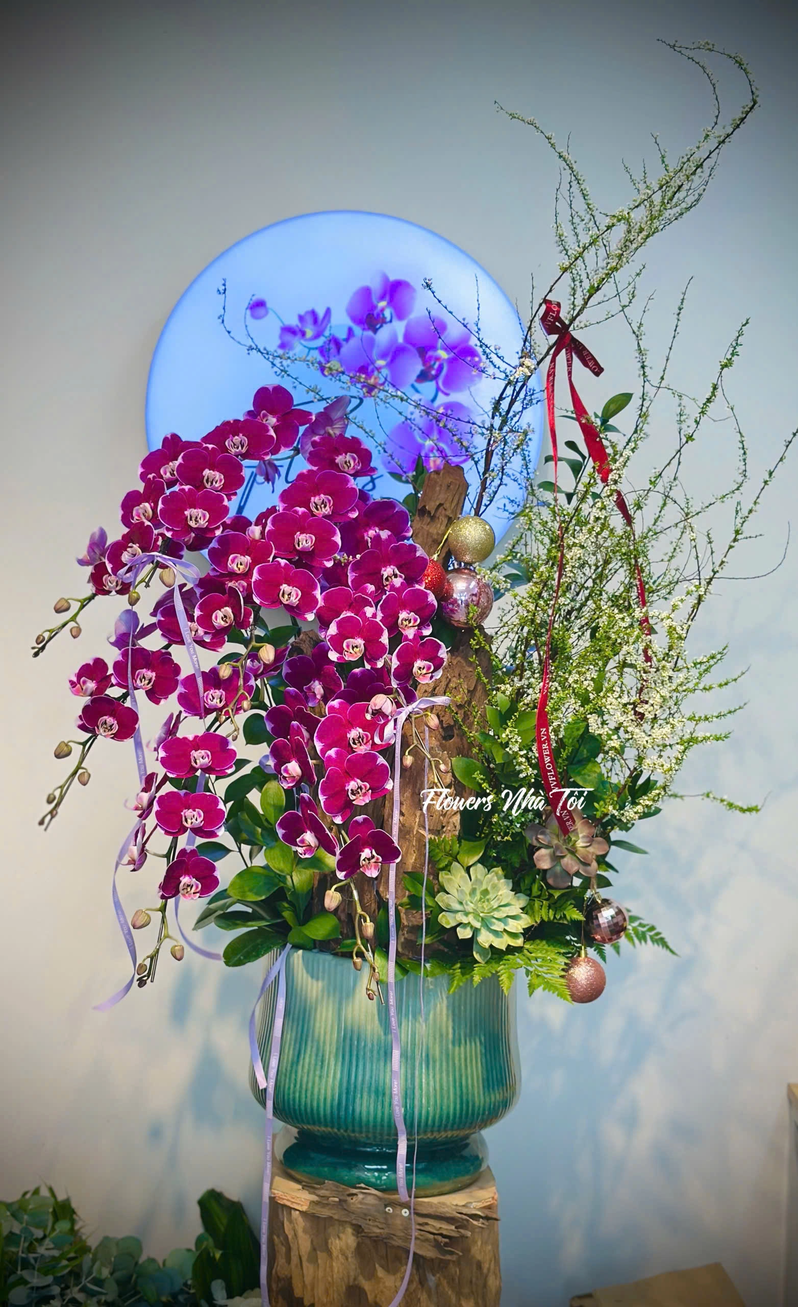 CHẬU LAN PHỐI KÈM TUYẾT MAI